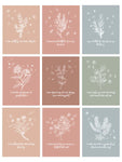 Alchemies of Affirmation Cards