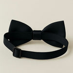 Elegant Satin Bow Tie