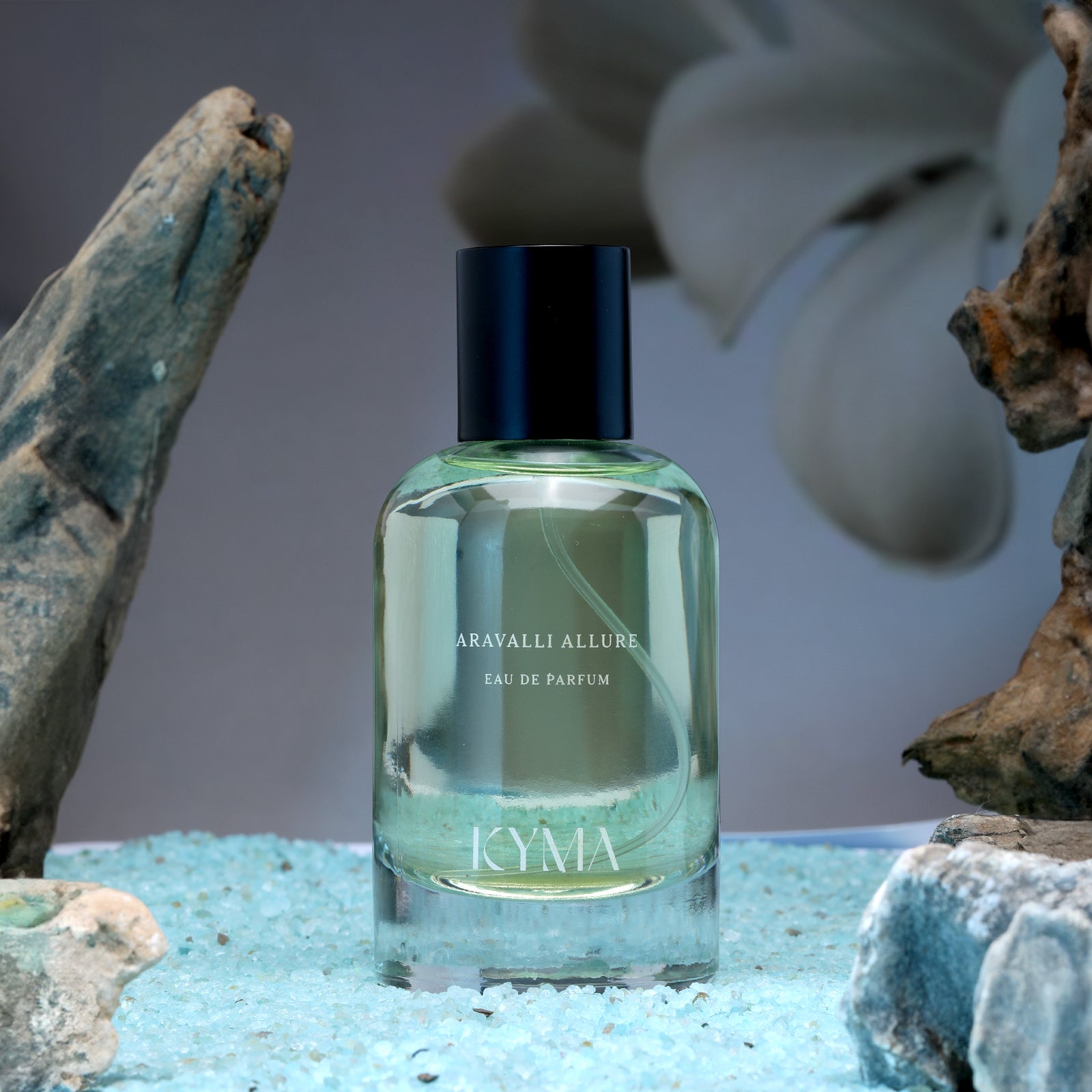 Buy Best Daily Fragrance for Women Online