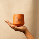 Kapila Glass