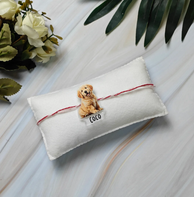 Pet Caricature Rakhi Personalised