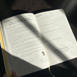 Mindbrush Journal