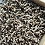Asian Flavours Dry Pasta