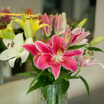 Oriental Lillies