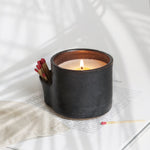 Light My Fire Candles + Holder + Striker