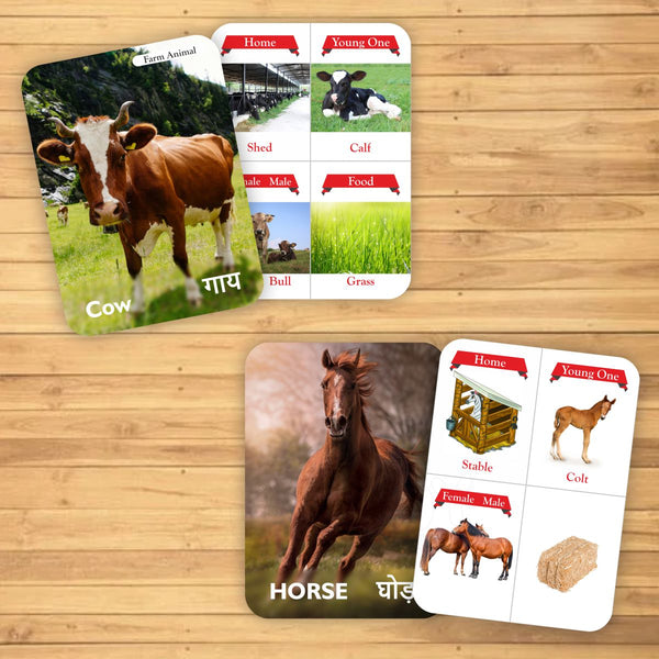 Animals Flash Card - The Style Salad