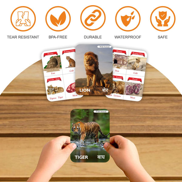 Animals Flash Card - The Style Salad