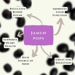 Jamun Pops – Freeze Dried Jamun Delight