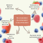 Berry Blast –  Strawberries, Blueberries & Raspberries freeze-Dried Fruit