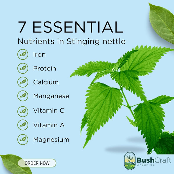 Stinging Nettle Herbal Tea
