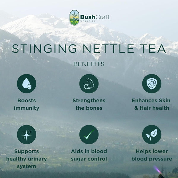 Stinging Nettle Herbal Tea
