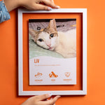 Infographic on a Wall - Memory Frame
