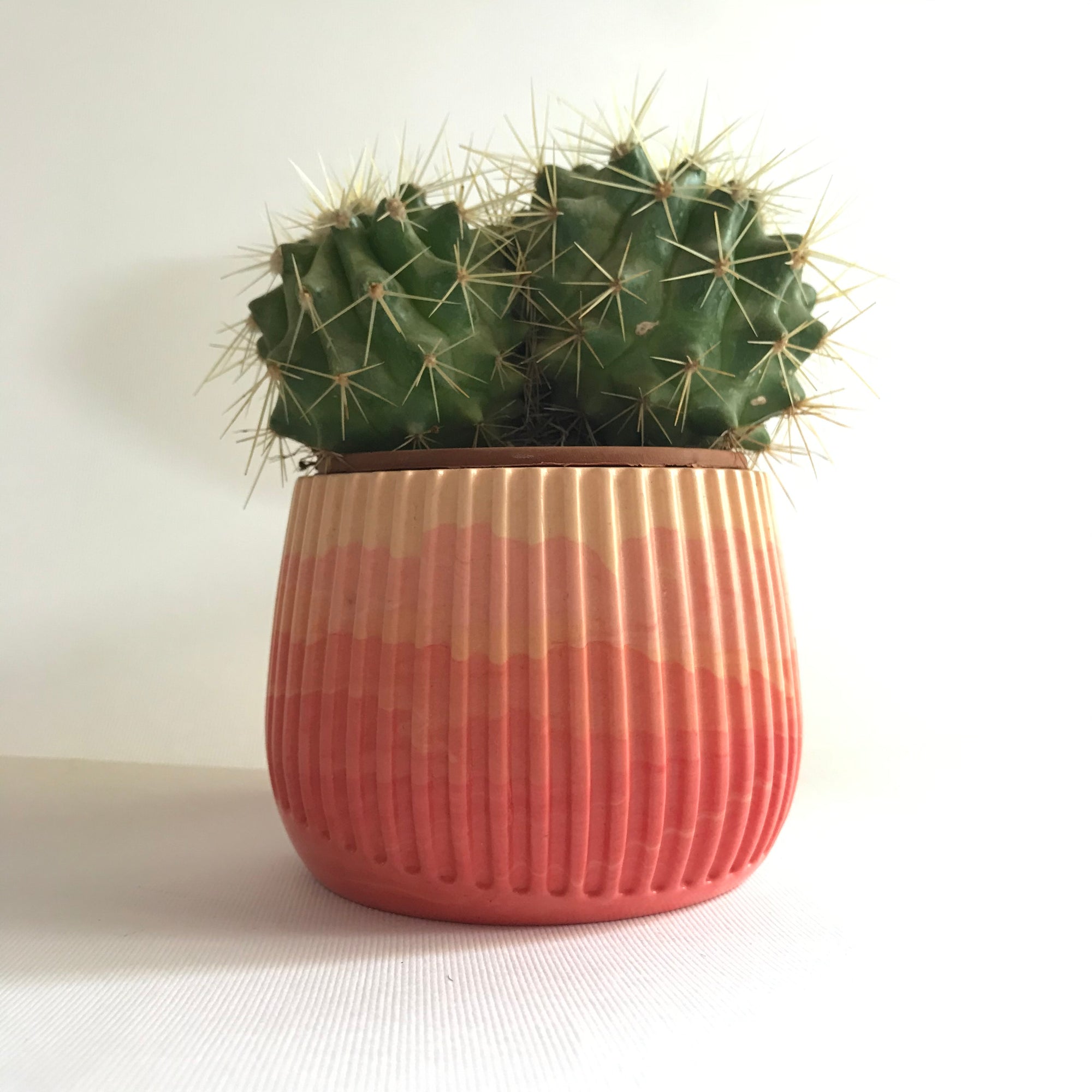 Fluted Ombre Planter