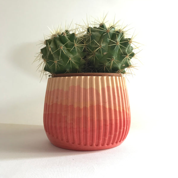 Fluted Ombre Planter - The Style Salad