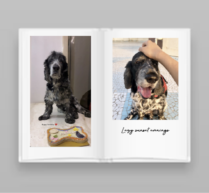 photobook online