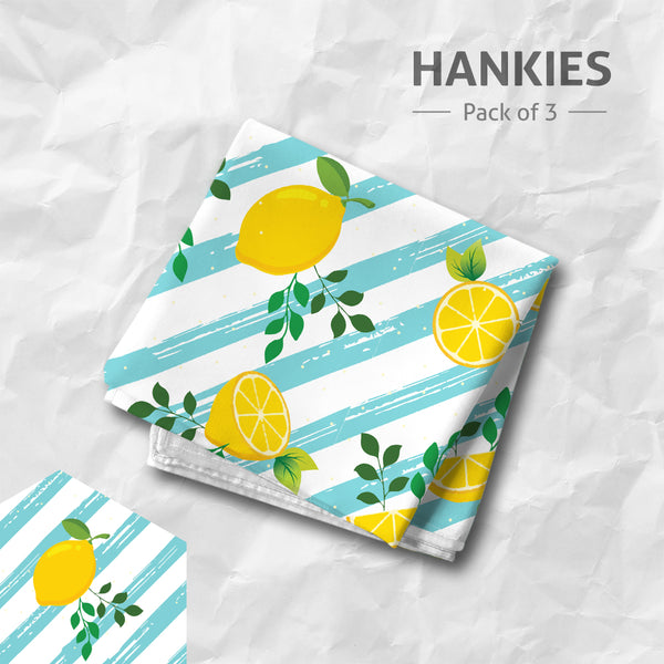 Men's Handkerchiefs Set of 3 - The Style Salad