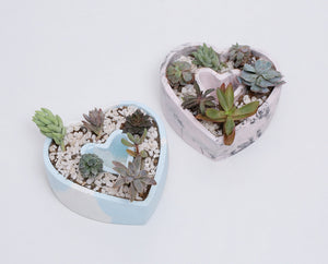 Heart Planter - The Style Salad