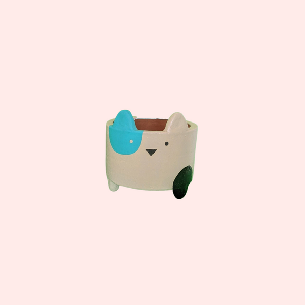 Jr.Boxy Cat Planters - The Style Salad