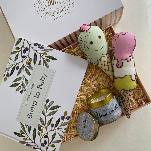 Bump To Baby Journal - The Style Salad