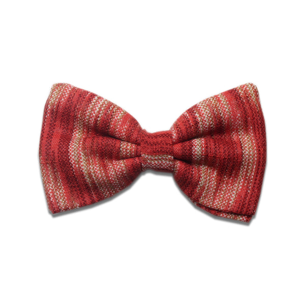 Printed Cotton Bowties - The Style Salad