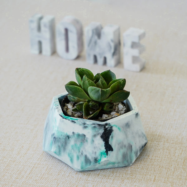 Hexagon Planter - The Style Salad