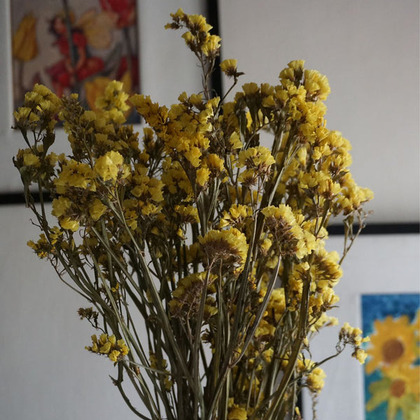 Statice : Dried Flower