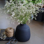 Baby's Breath / Gypsophilia