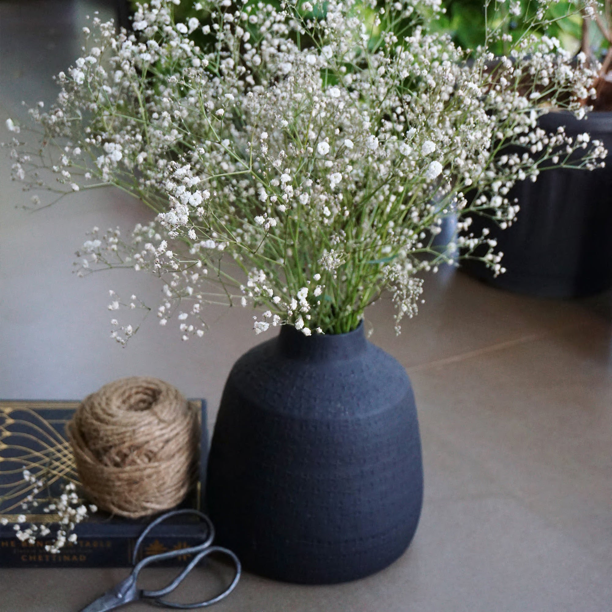 Baby's Breath / Gypsophilia