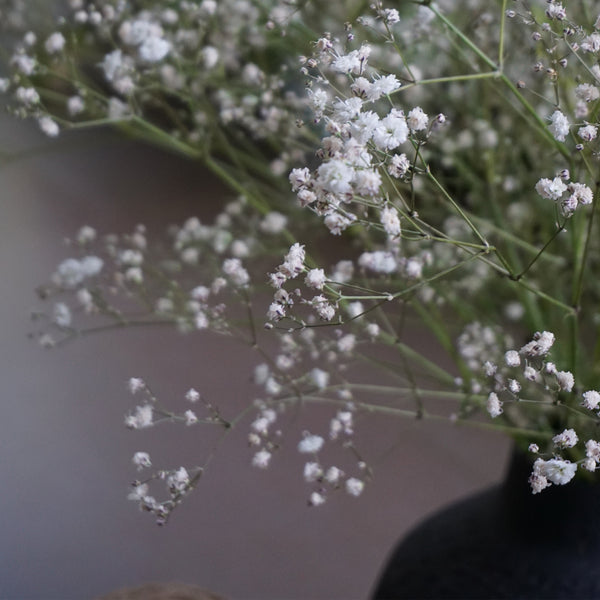 Baby's Breath / Gypsophilia - The Style Salad
