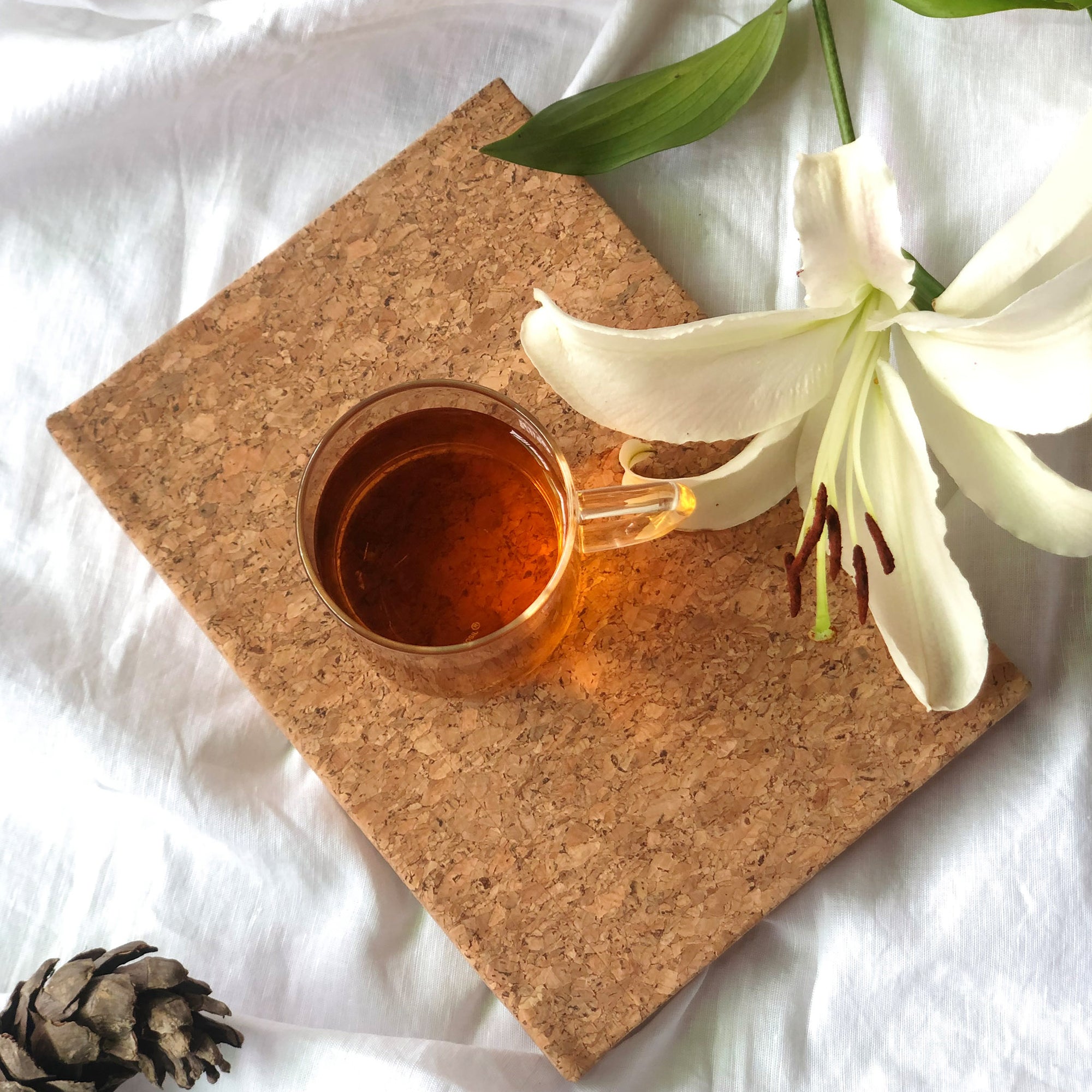Cork Notebook