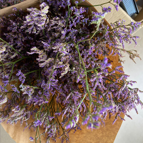 Limonium : Dried Flowers - The Style Salad