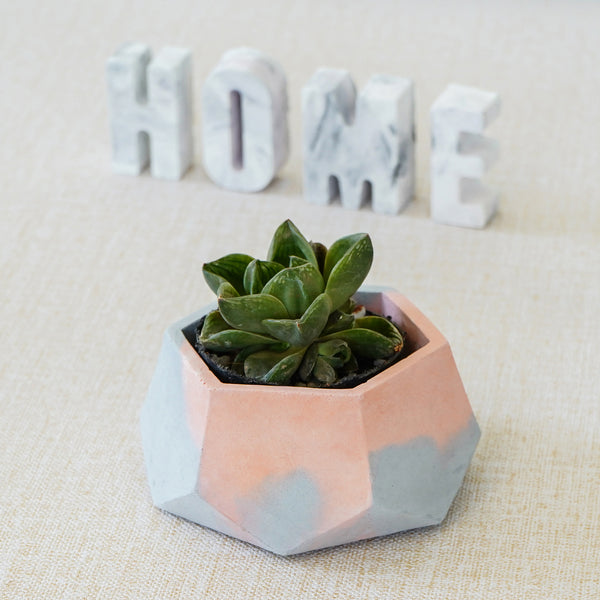 Hexagon Planter - The Style Salad