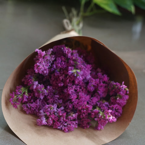 Statice : Dried Flower - The Style Salad