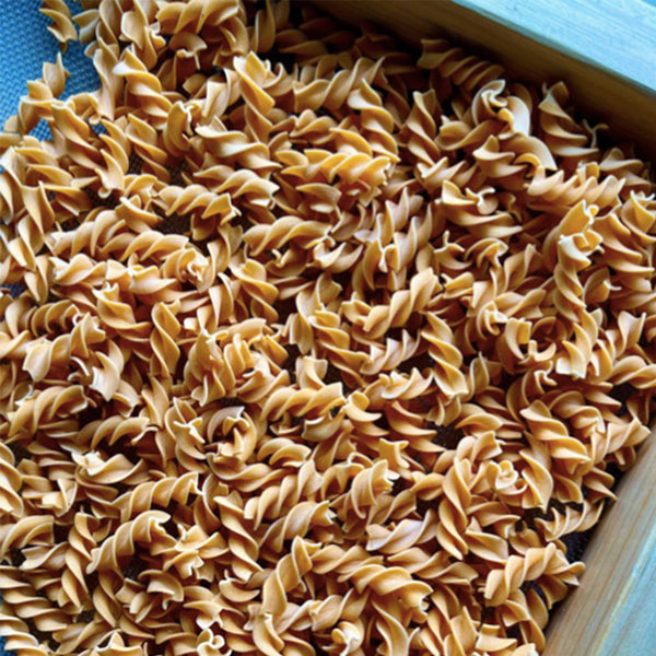 Asian Flavours Dry Pastas - the style salad