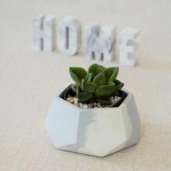 Hexagon Planter - The Style Salad